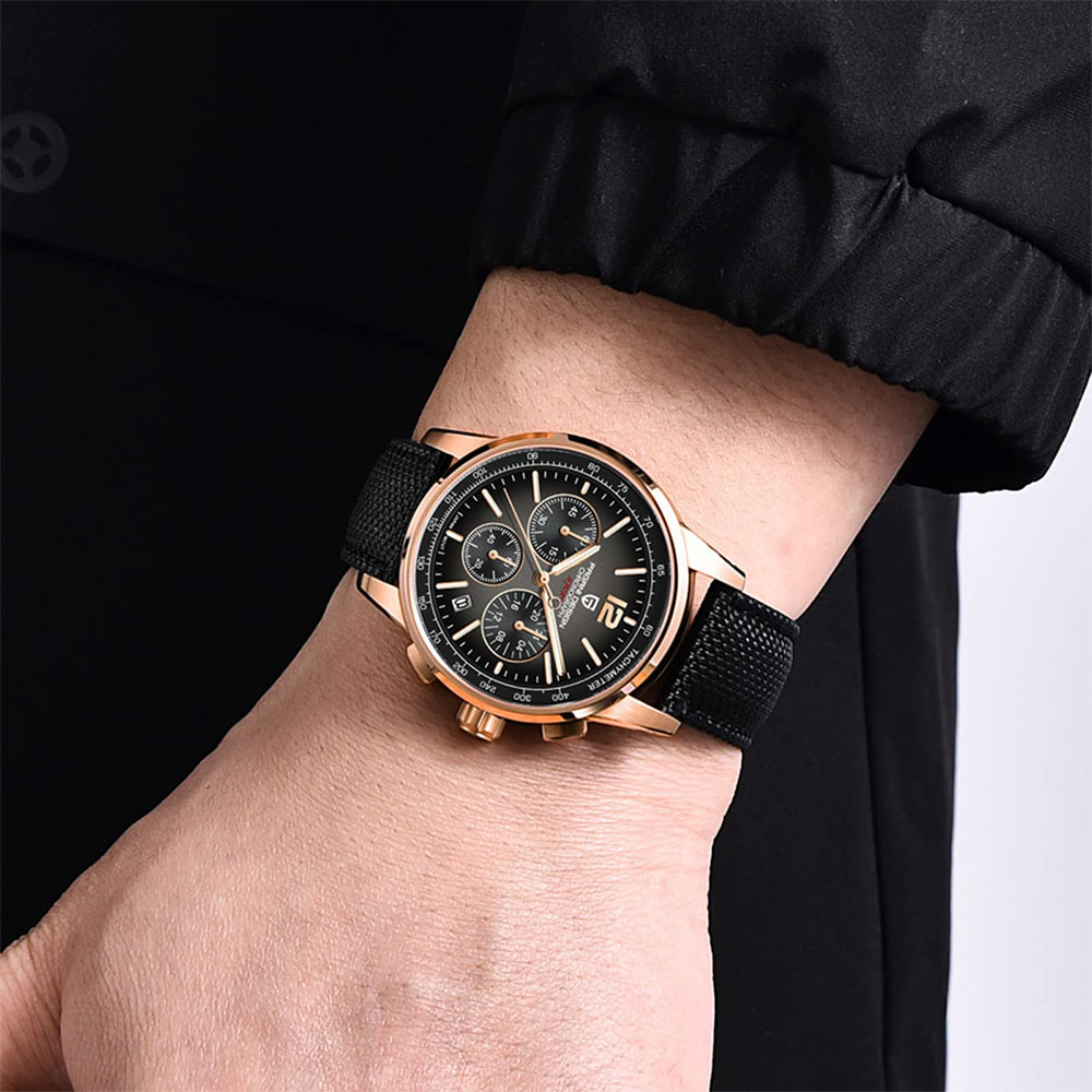 PAGANI DESIGN New Mens Watch 4 - đánh giá và giá Luxury Watch Safe