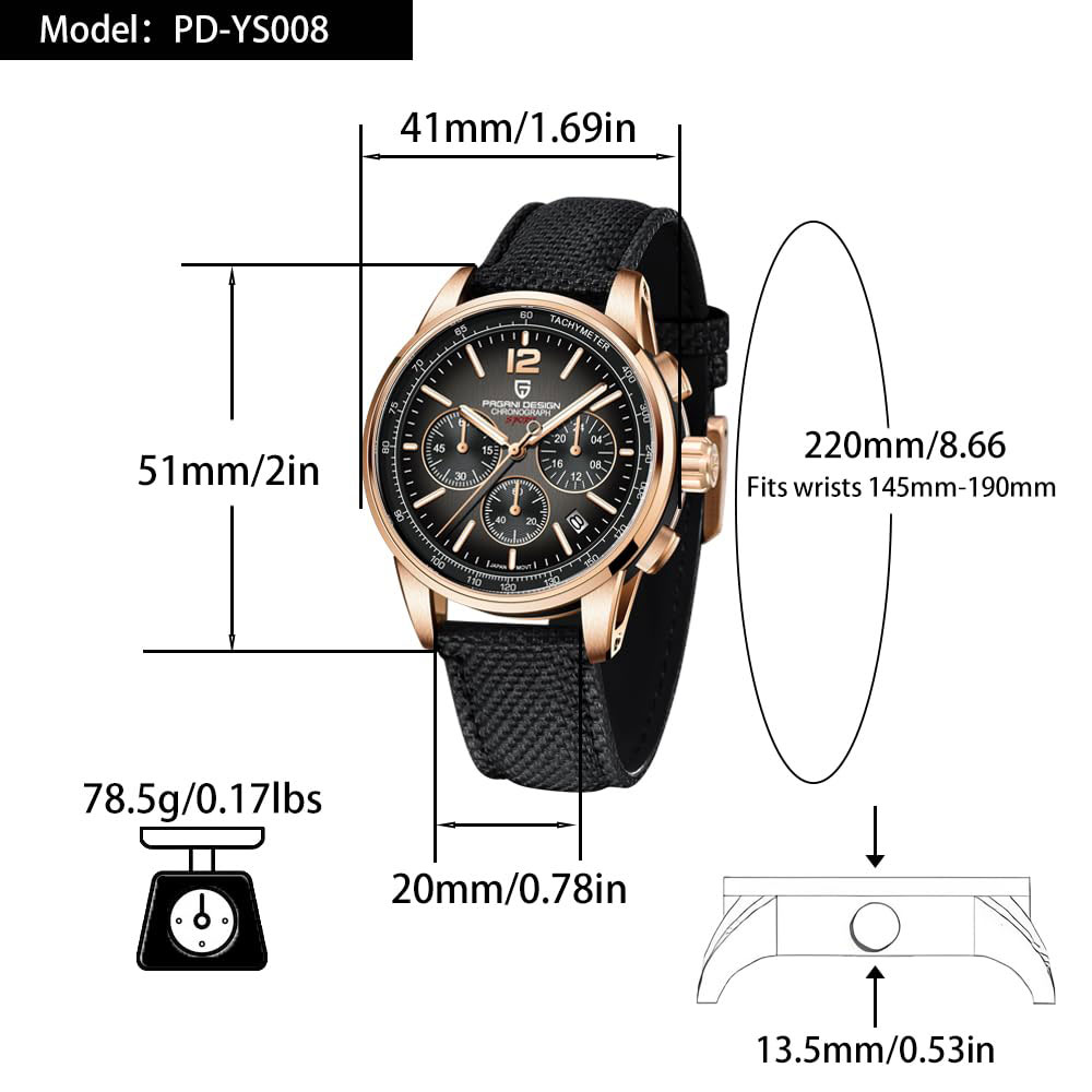 PAGANI DESIGN New Mens Watch 4 - đánh giá và giá Luxury Watch Safe